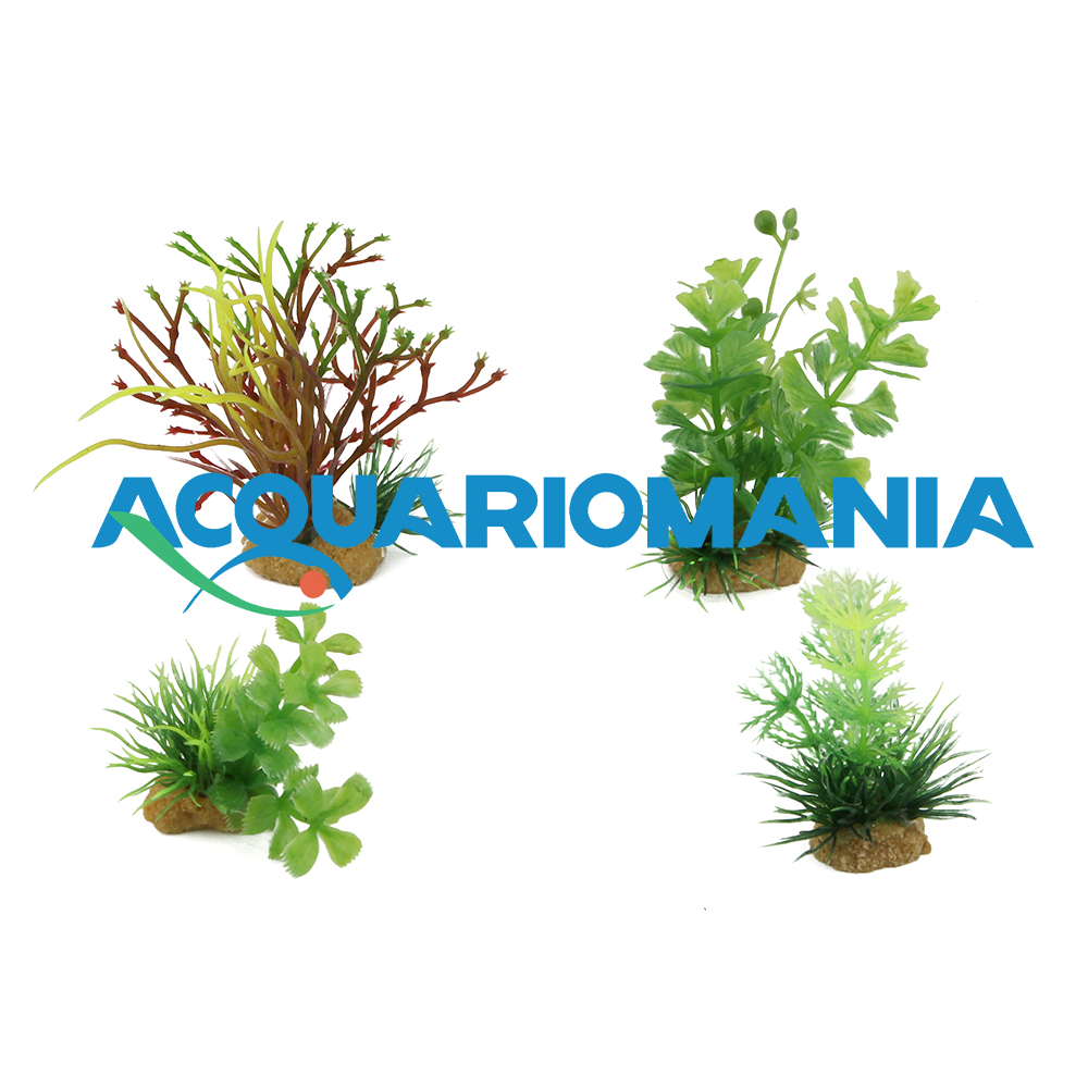 Zolux PlantKit Mix 4 Modello 2 Assortimento piantine in plastica