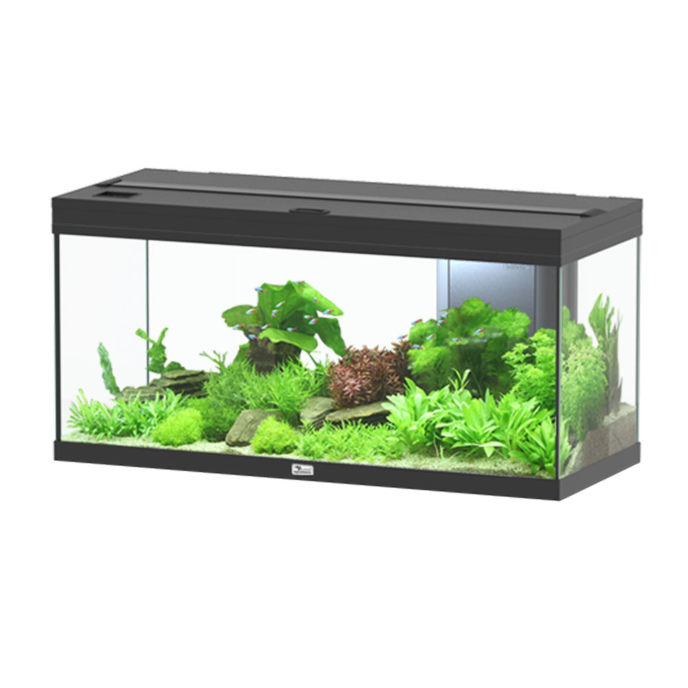 Aquatlantis Volga 180 Acquario Nero 180 litri