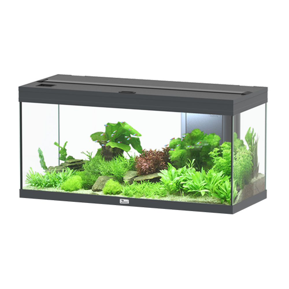 Aquatlantis Volga 180 Acquario Antracite 180 litri
