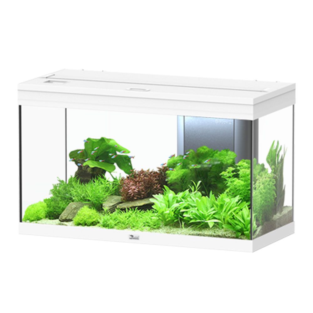 Aquatlantis Volga 125 Acquario Bianco 125 litri