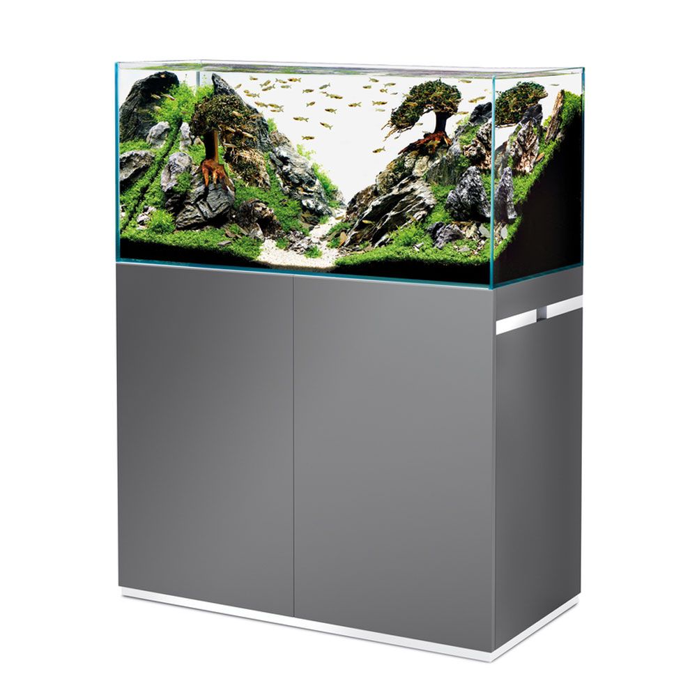 Oase ScaperLine 100 Set Vasca e Supporto grigio