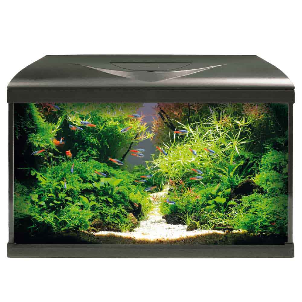 Amtra Acquario System Tank V2 60 Led con Filpo completo Nero 65lt 60x32x42h cm