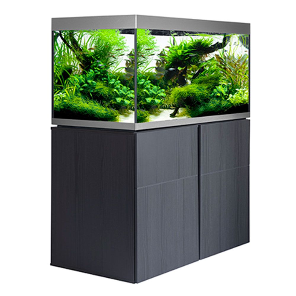 Askoll Fluval Siena 330 Combo Acquario con Supporto Graphite 110x55x55h cm