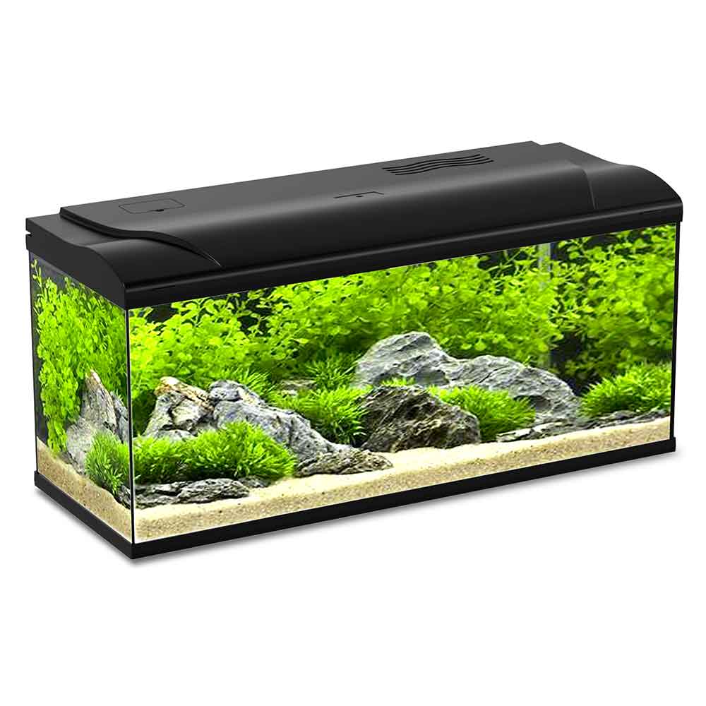 Blu Bios Acquario Magis 100 Nero 80x30x45,5h cm 95 Litri