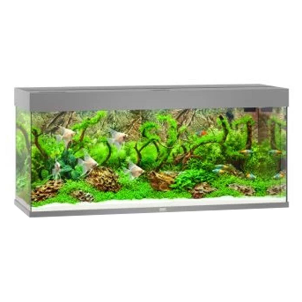 Juwel Acquario Rio 240 Litri LED Grigio 121x41x55H cm