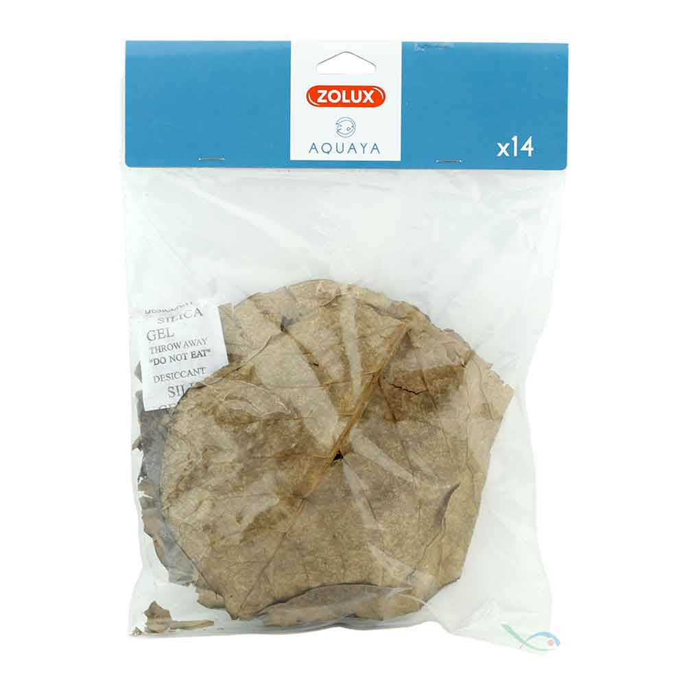 Zolux Aquaya Foglie di Catappa 14pz