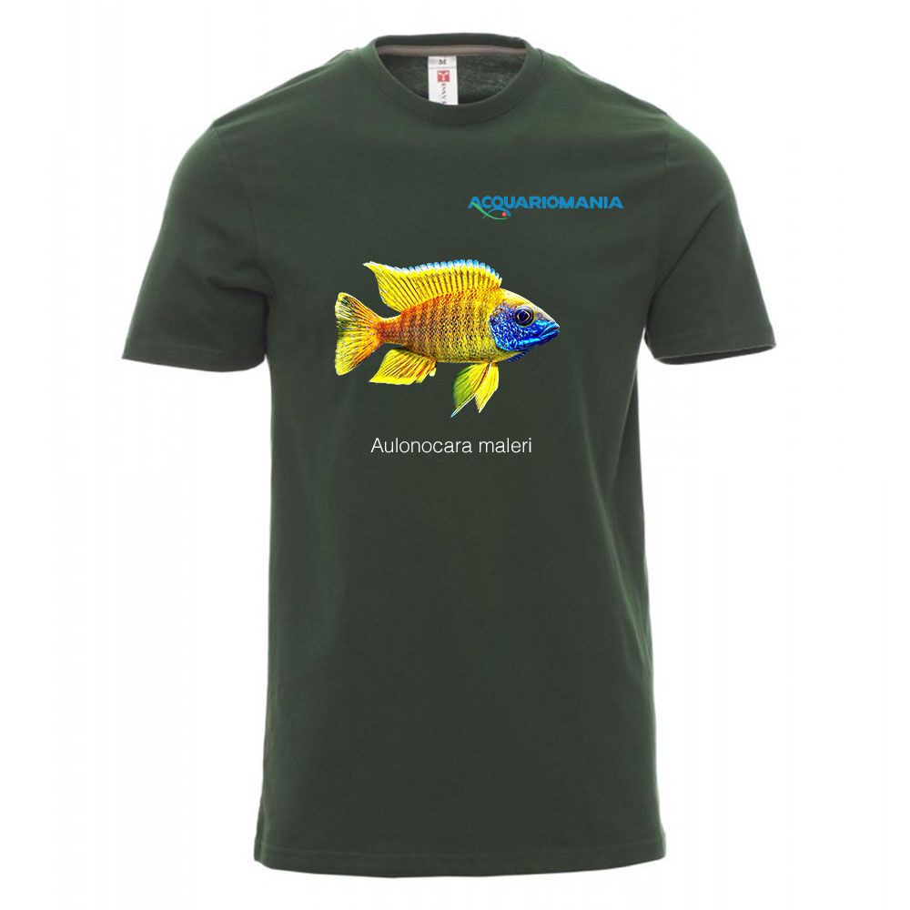 T-Shirt Uomo Aulonocara maleri Verde Taglia M Cotone 100%