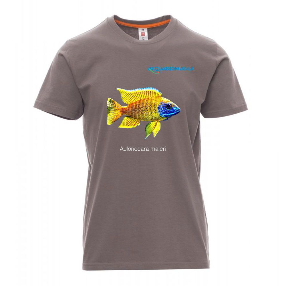 T-Shirt Uomo Aulonocara maleri Grigio Taglia L Cotone 100%