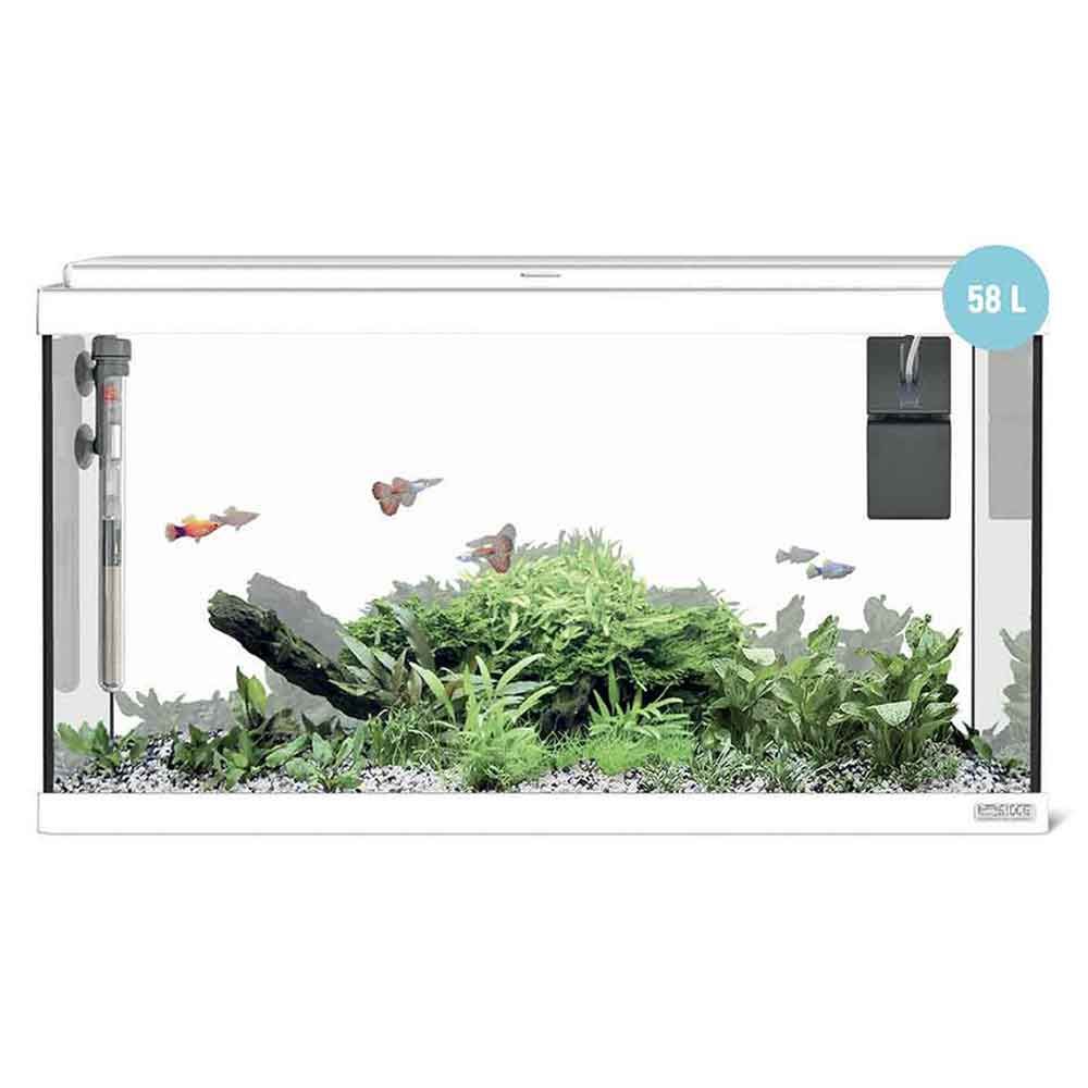 Sicce Acquario Moby Dick 60 New Bianco 58 Litri 60x30x34 cm