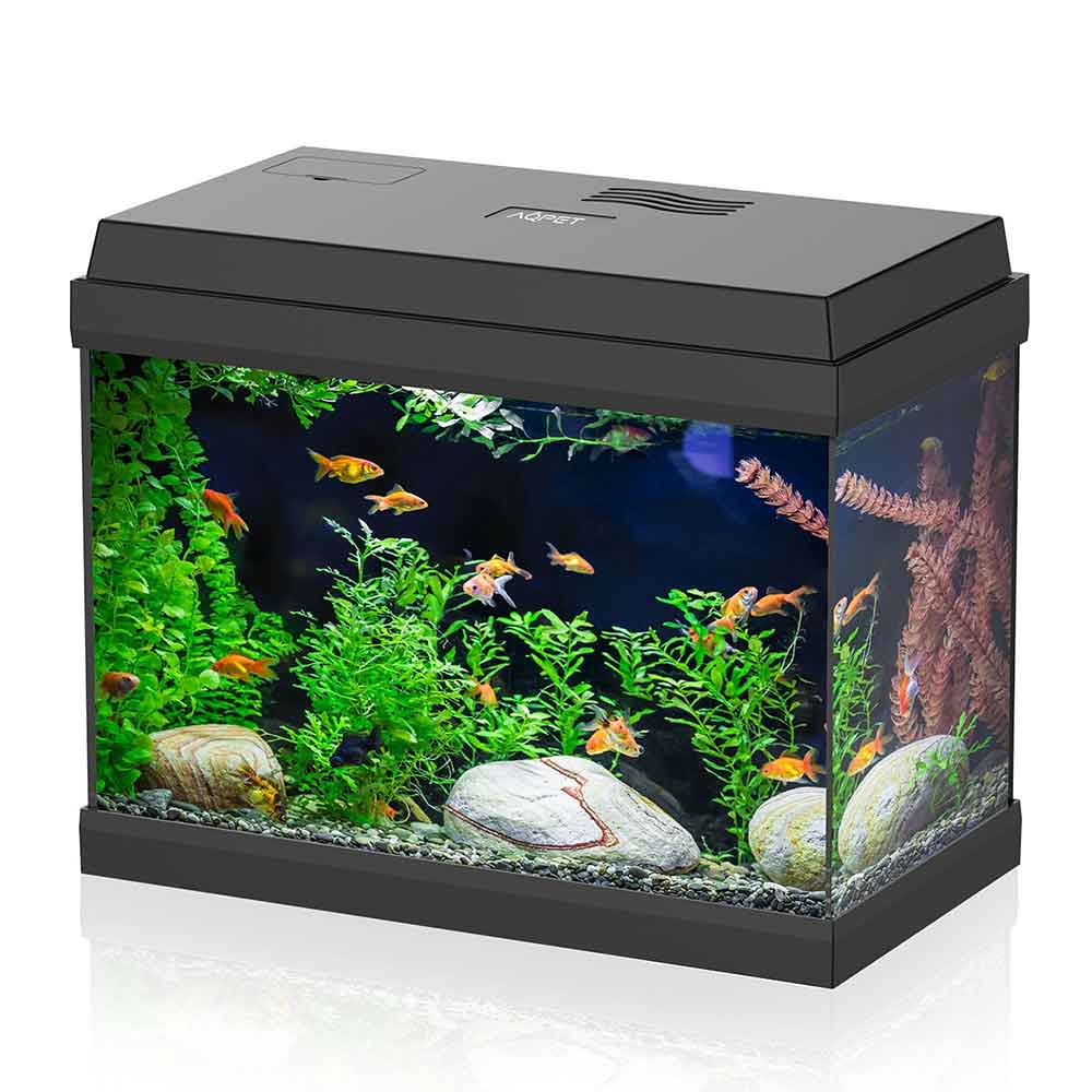 Aqpet Acquario Simply Led 30 39x22x30h cm 30 litri