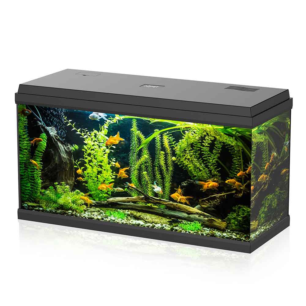 Aqpet Acquario Simply Led 100 80x30x46h cm 100 litri