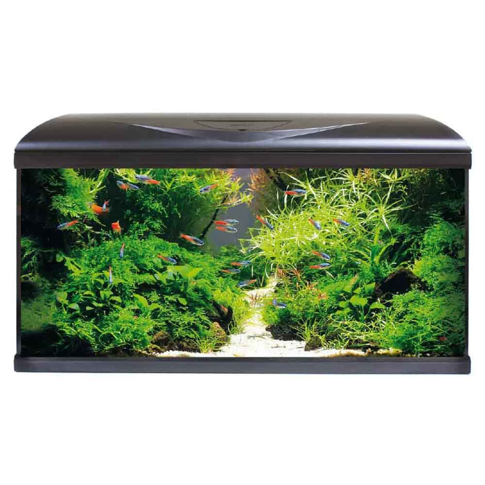 Amtra Acquario System Tank V2 80 Led con Filtering Box 150 Nero 85lt 80x32x48h cm