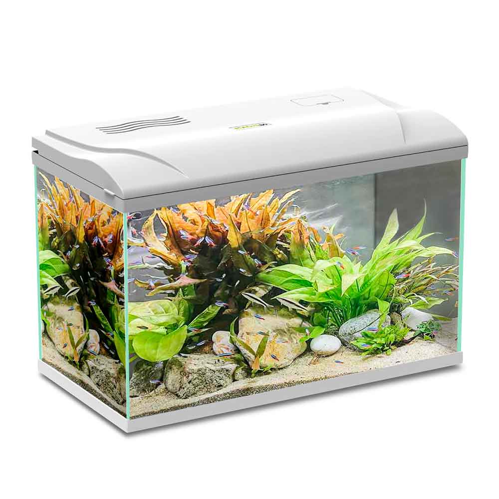 Blu Bios Acquario Magis 60 Bianco 59x31x39h cm 60 Litri