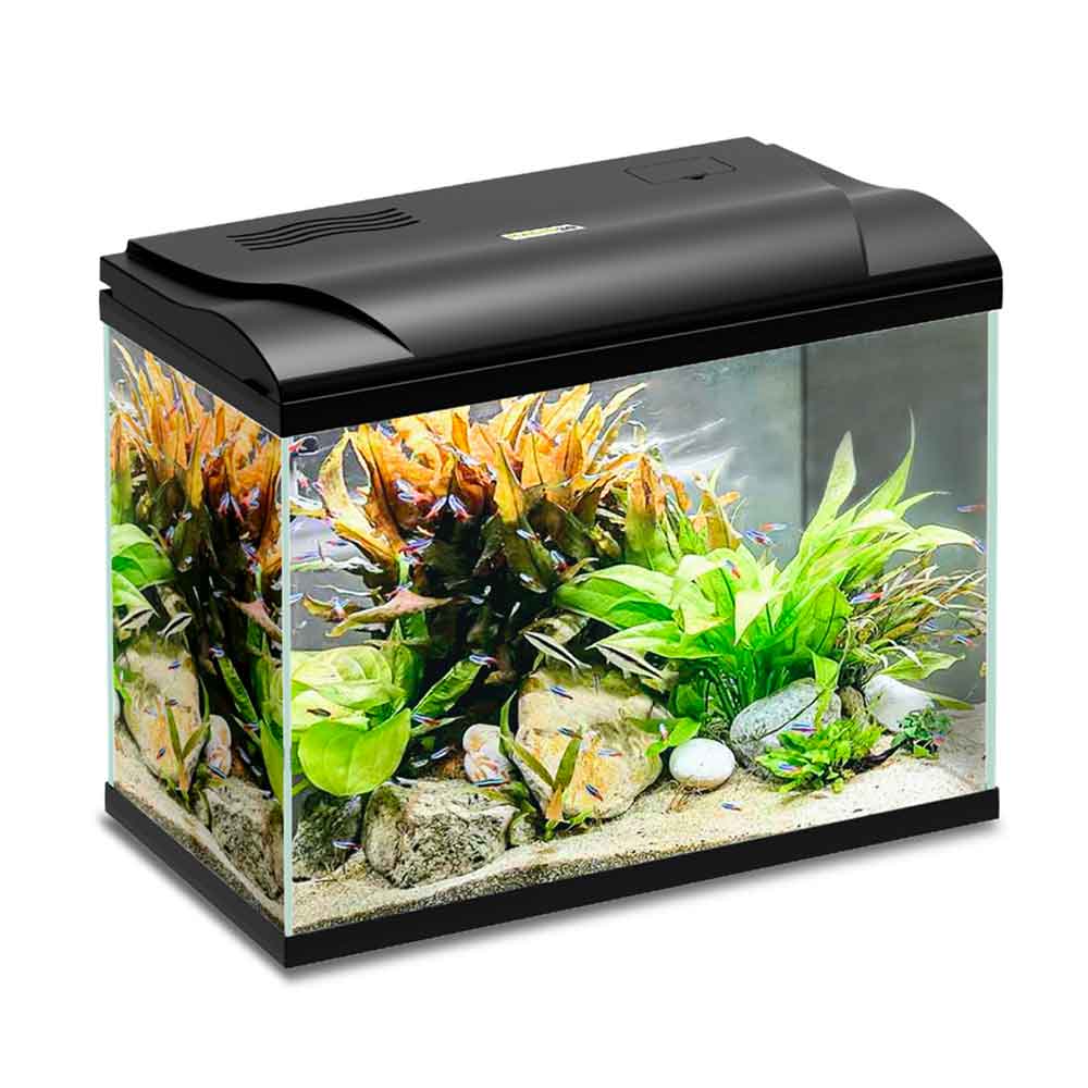 Blu Bios Acquario Magis 30 Nero 39x22x30h cm 30 Litri