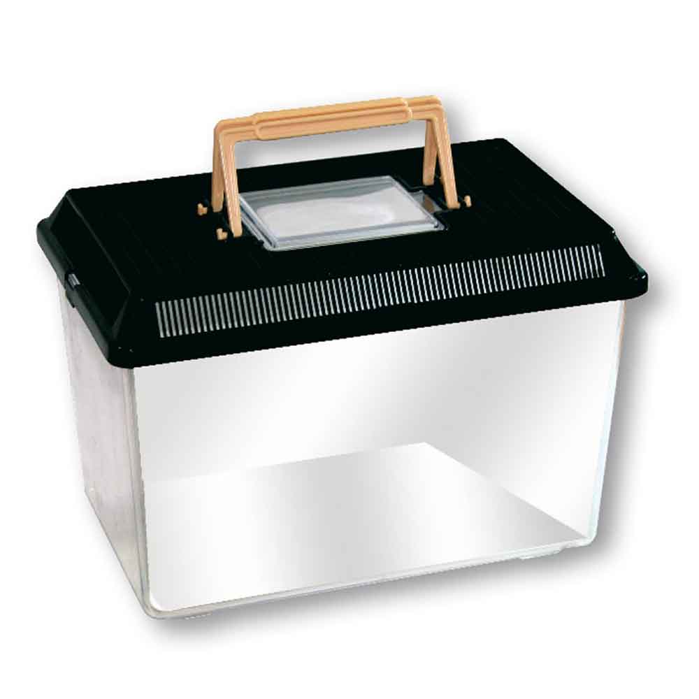 Amtra Boxlife Medium Vasca in plastica 11,5lt circa 29,5X19,5X20h cm
