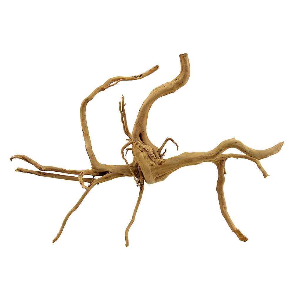 Legno Branch Wood 1958 con foto reale e misure 49x20x34h cm