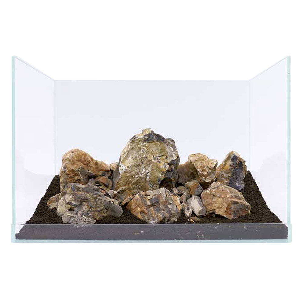 Roccia Fossilized Wood prezzo al Kg