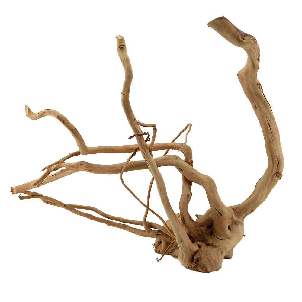 Legno Branch Wood 2008 con foto reale e misure 37x19x32h cm