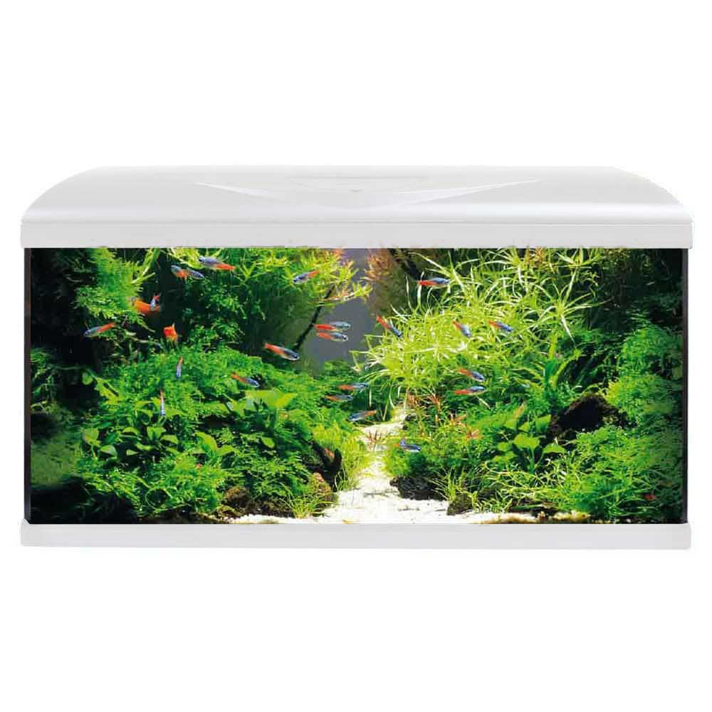 Amtra Acquario System Tank V2 80 Led con Filpo completo Bianco 85lt 80x32x48h cm