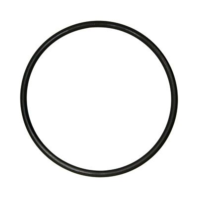 Tunze 3171.241 Oring per Testata Calcium Automat 3171