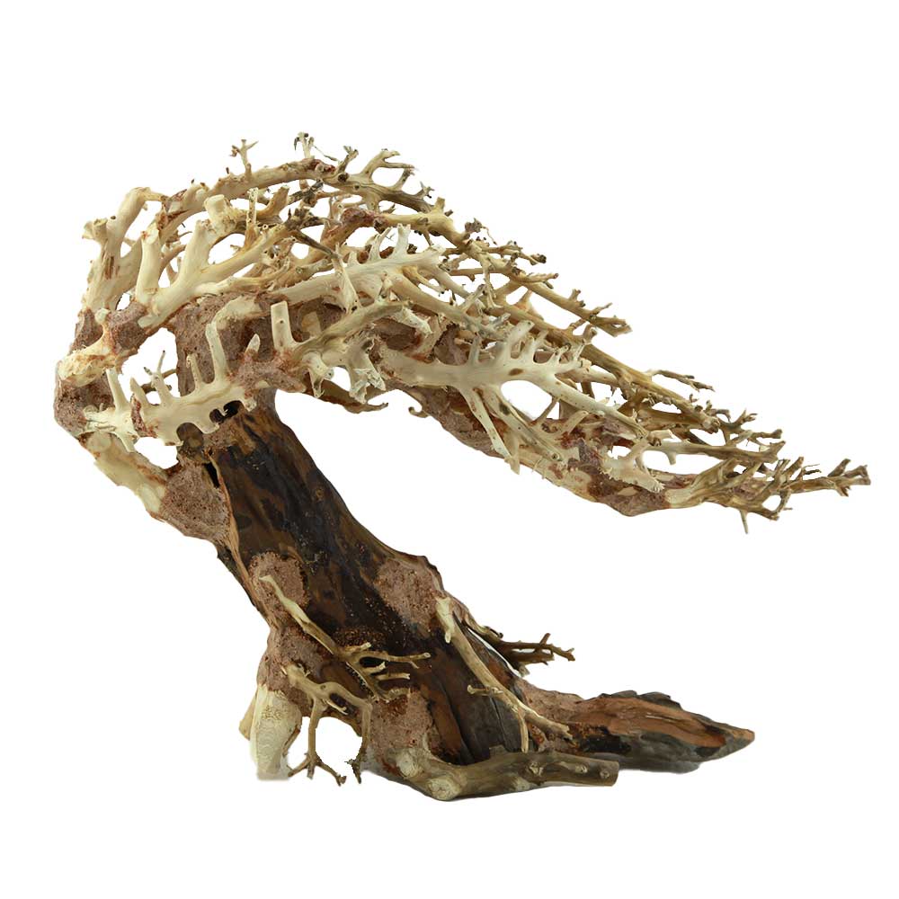 Amtra Legno Oriental Wind 3 Medium 9 con foto reale 30x13x25h cm