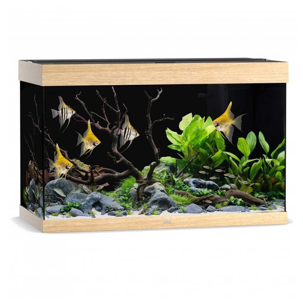 Juwel Acquario Rio 290 Litri LED Light Wood 101x51x66H cm