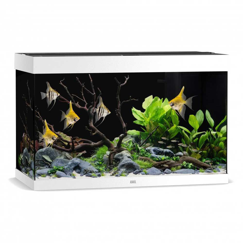 Juwel Acquario Rio 290 Litri LED Bianco 101x51x66H cm
