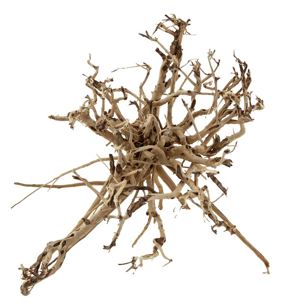 Legno Zen Aaron 2 con foto reale e misure 31x27x31h cm