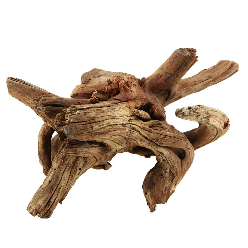 Legno Drift Wood 26 con foto reale e misure 48x17x22h cm