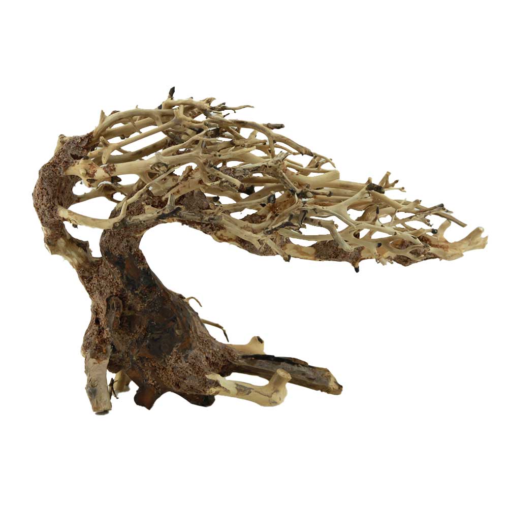 Amtra Legno Oriental Wind 3 Small 18 con foto reale 24x11x17h cm