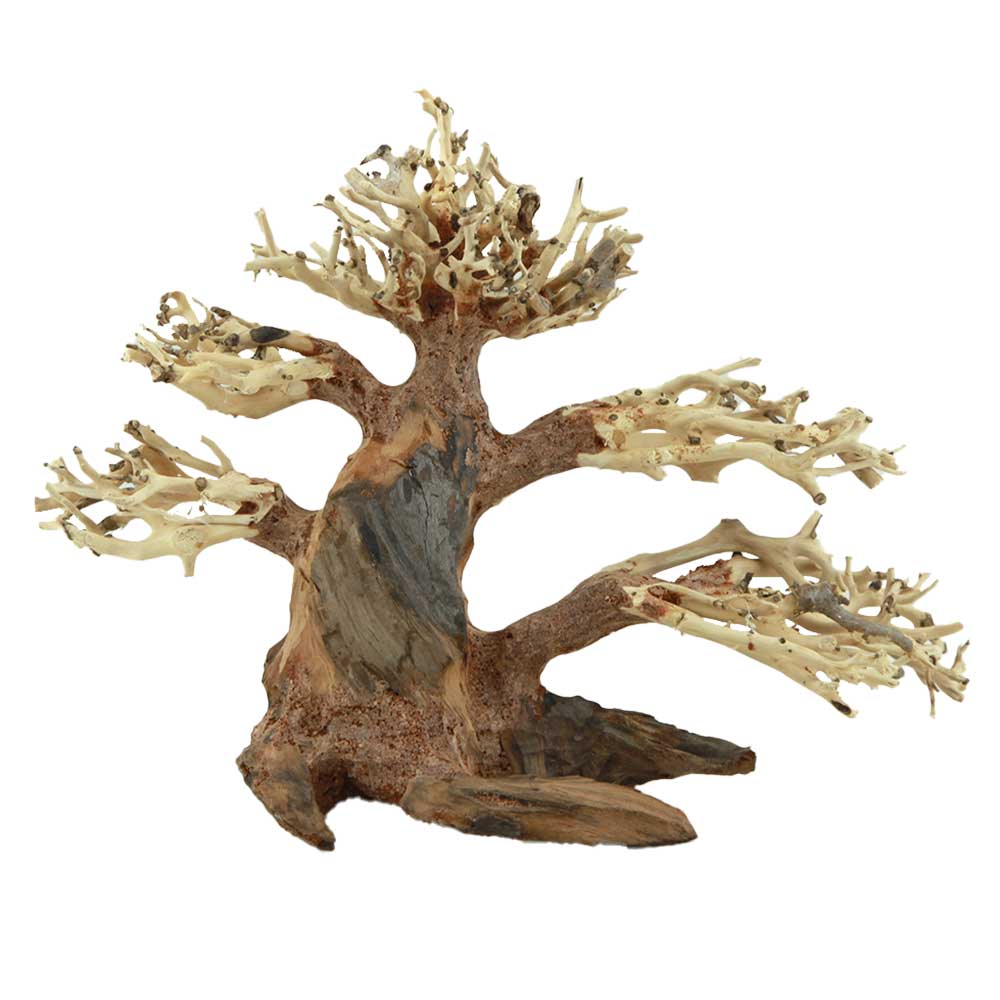 Amtra Legno Oriental Wind 4 Small 10 con foto reale 23x9x17h cm