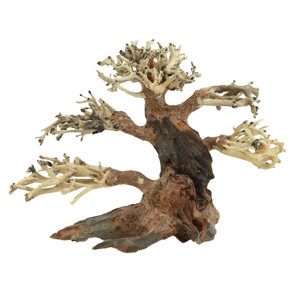 Amtra Legno Oriental Wind 4 Small 12 con foto reale 23x9x17h cm