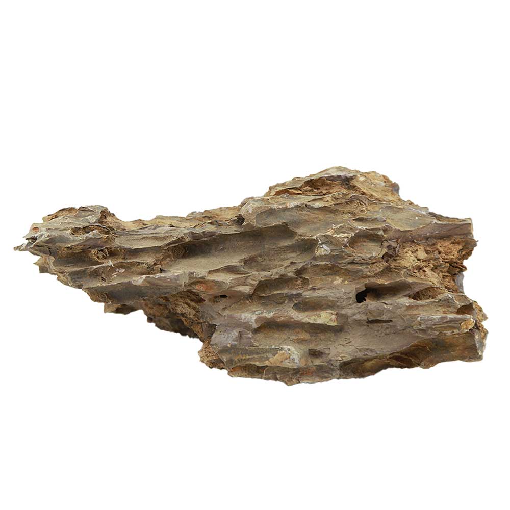 Roccia Dragon Stone 103 Foto Reale e peso 24x15x10h