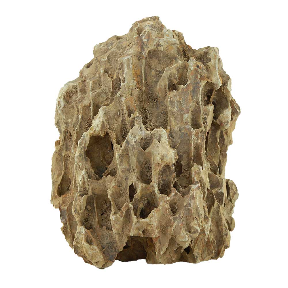 Roccia Dragon Stone 108 Foto Reale e peso 15x10x19h