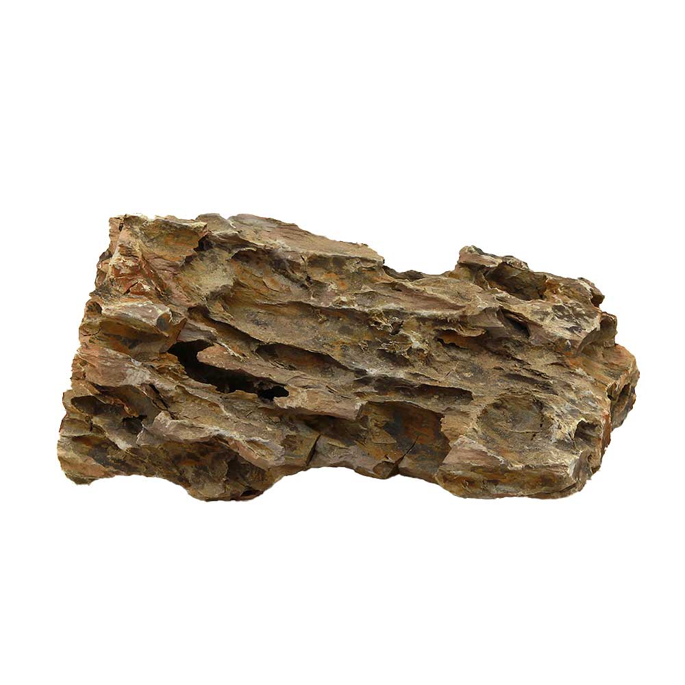Roccia Dragon Stone 124 Foto Reale e peso 21x13x9h