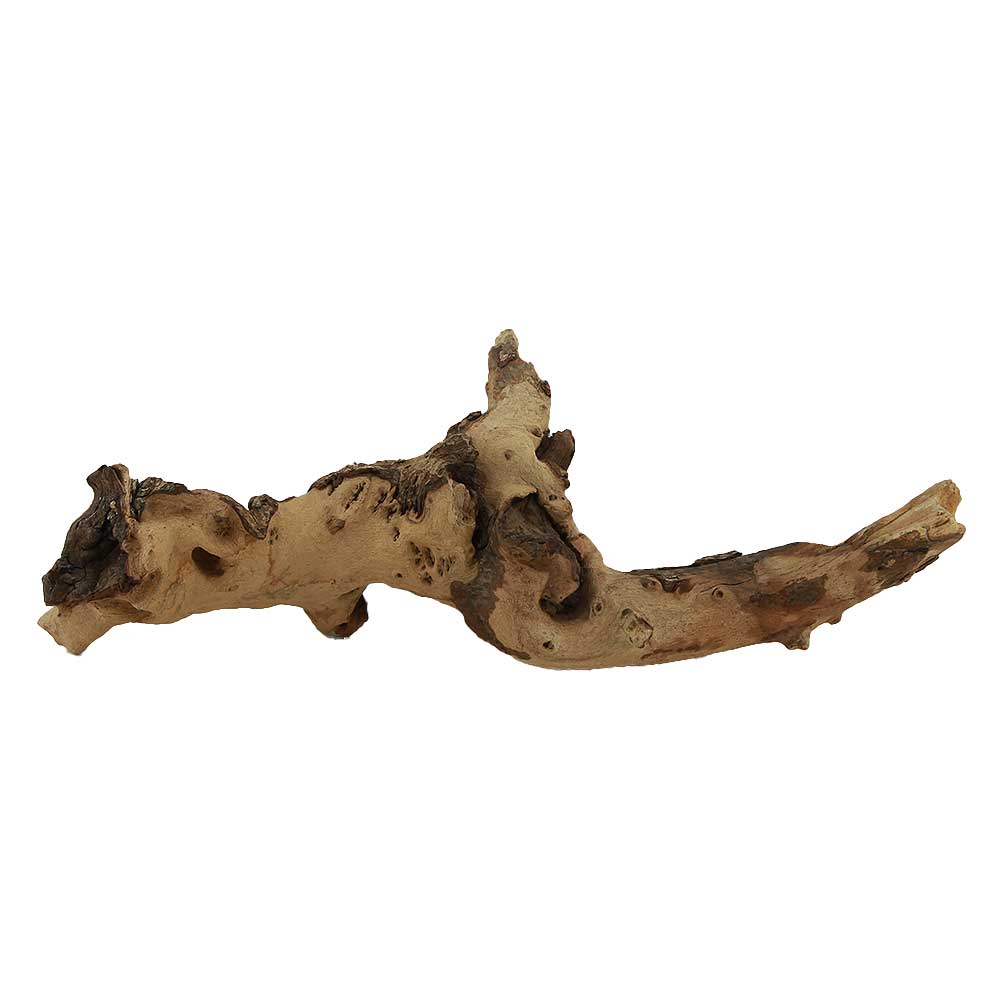 Legno Mopani 885 con Foto Reale e Misure 35x12x12h cm