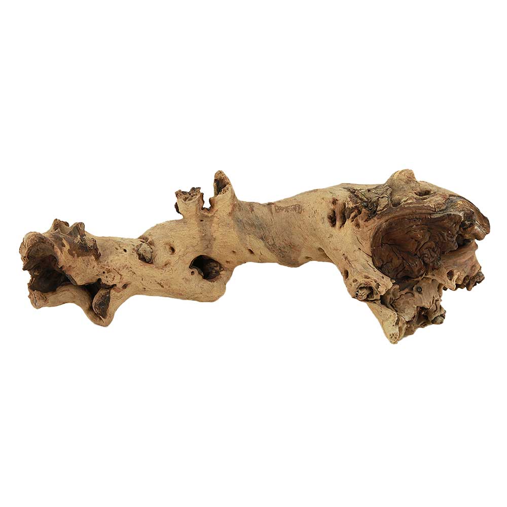 Legno Mopani 886 con Foto Reale e Misure 33x9x12h cm