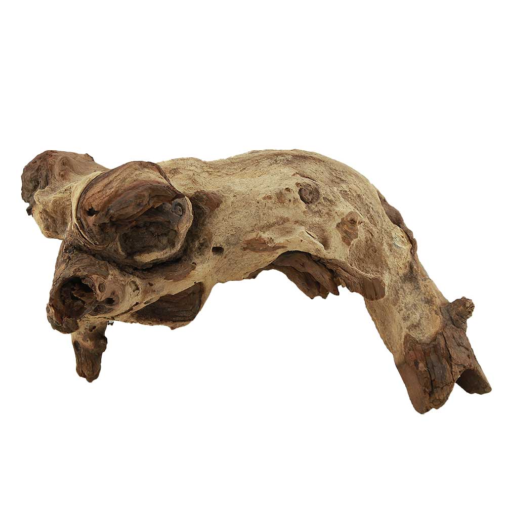 Legno Mopani 889 con Foto Reale e Misure 27x13x14h cm