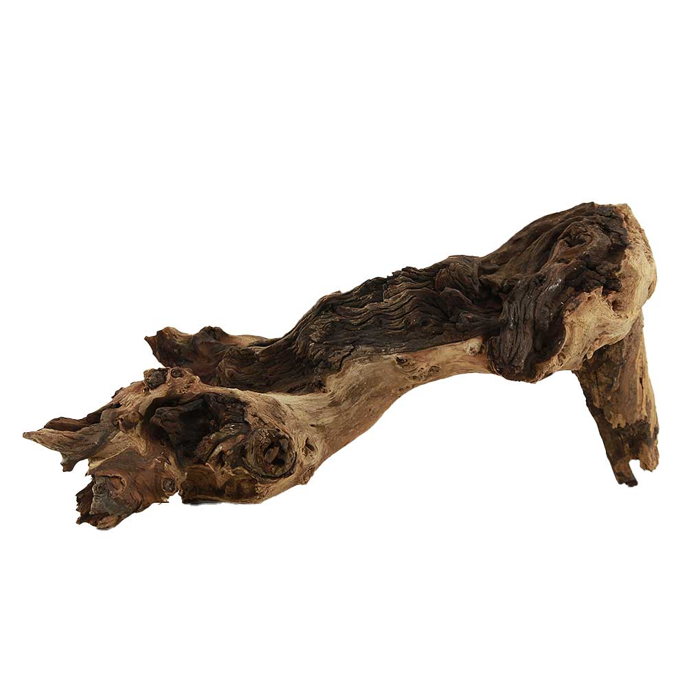 Legno Mopani 891 con Foto Reale e Misure 35x14x18h cm