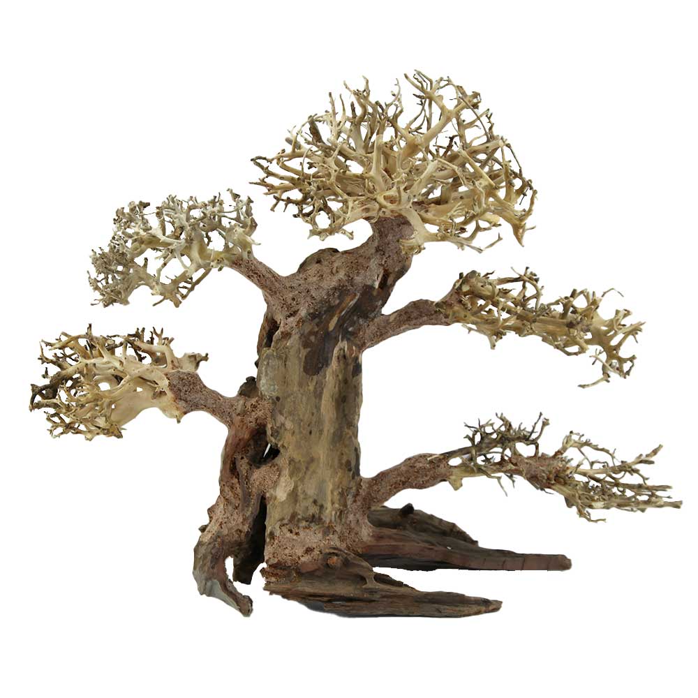 Amtra Legno Oriental Wind 4 Large 2 con foto reale 40x17x32h cm