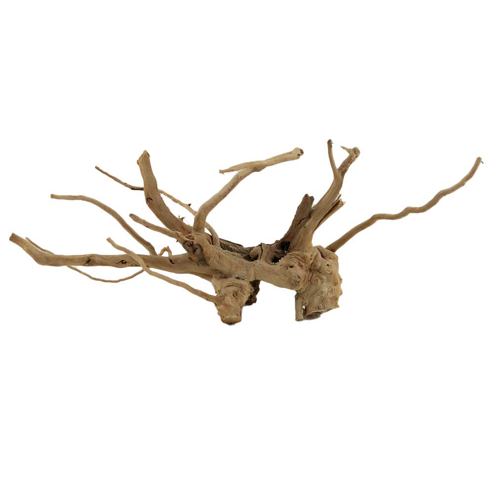 Legno Branch Wood 2075 con foto reale e misure 40x16x16h cm