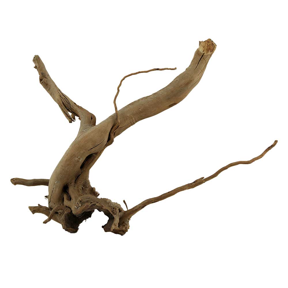Legno Branch Wood 2076 con foto reale e misure 36x12x26h cm