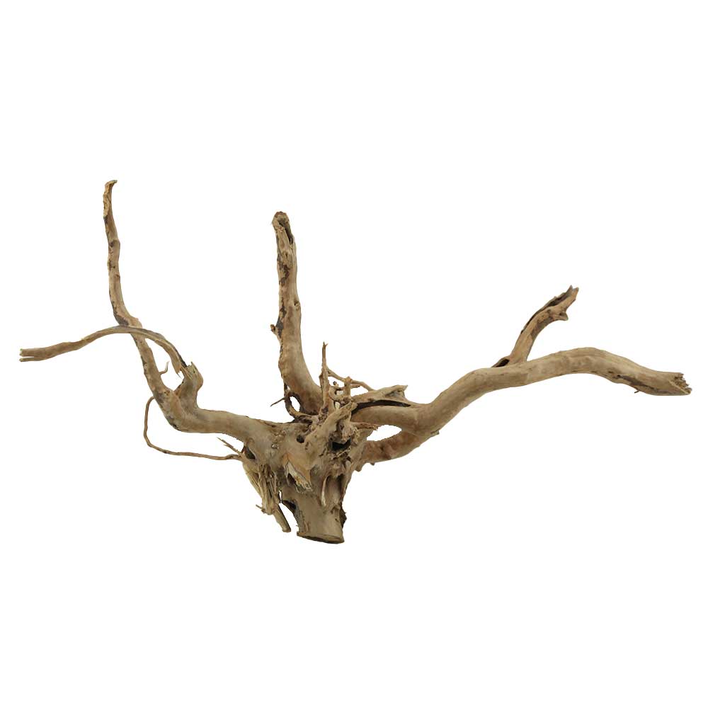 Legno Branch Wood 2084 con foto reale e misure 39x15x22h cm