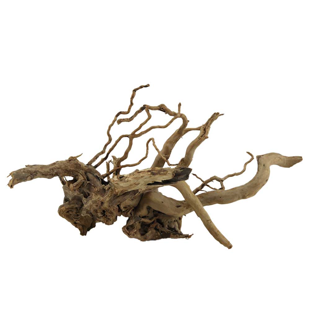Legno Branch Wood 2094 con foto reale e misure 39x20x22h cm