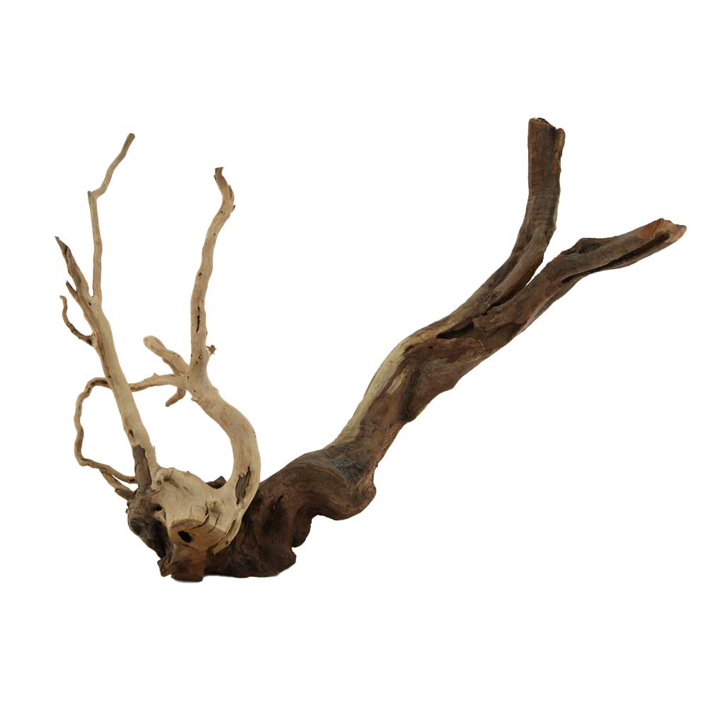 Legno Branch Wood 2098 con foto reale e misure 39x15x27h cm