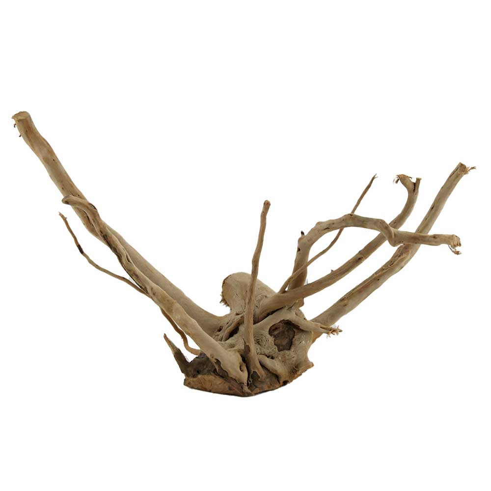 Legno Branch Wood 2099 con foto reale e misure 38x20x22h cm