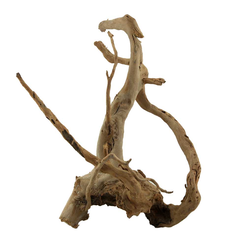 Legno Branch Wood 2101 con foto reale e misure 21x18x26h cm