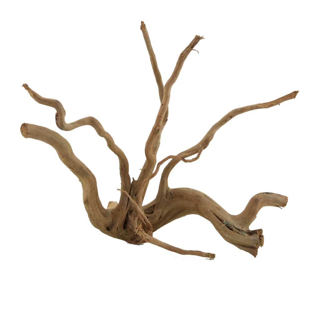 Legno Branch Wood 2104 con foto reale e misure 28x14x25h cm