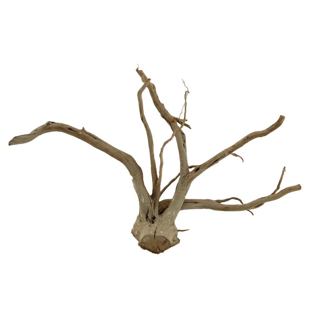 Legno Branch Wood 2105 con foto reale e misure 41x10x24h cm