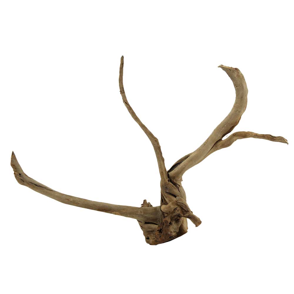 Legno Branch Wood 2106 con foto reale e misure 41x11x29h cm